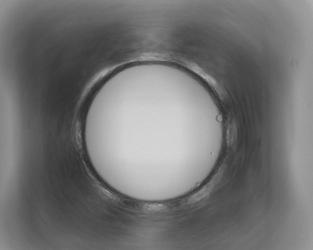 X0000112831454200908210929