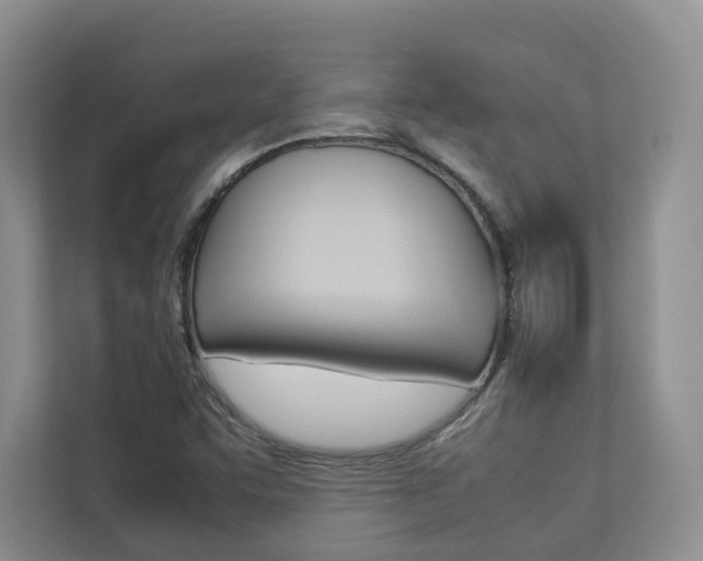 X0000112831455200908210929