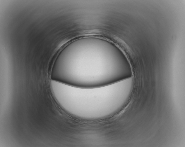 X0000112831457200908210929