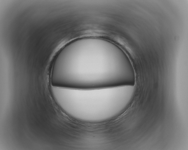 X0000112831459200908210929