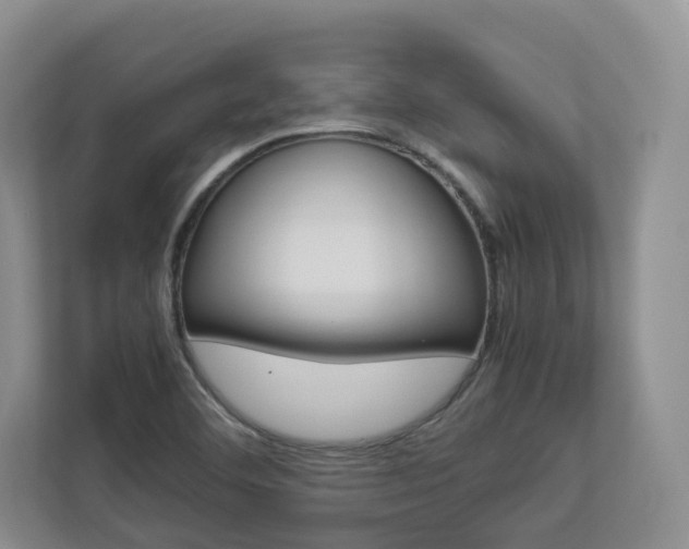 X0000112831460200908210929