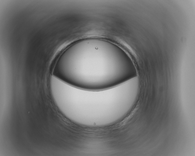 X0000112831461200908210929