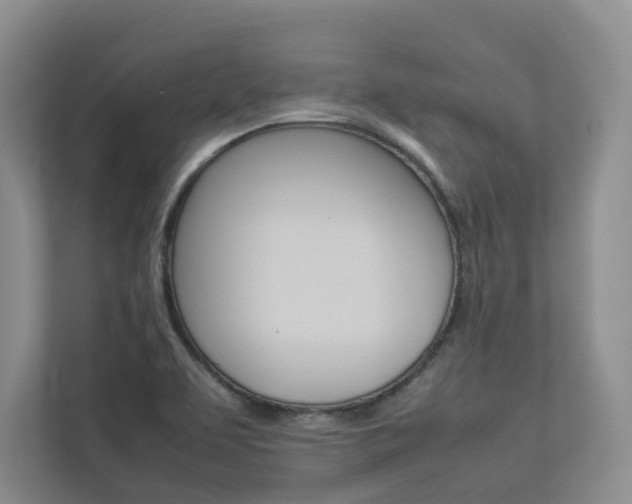 X0000112831463200908210929