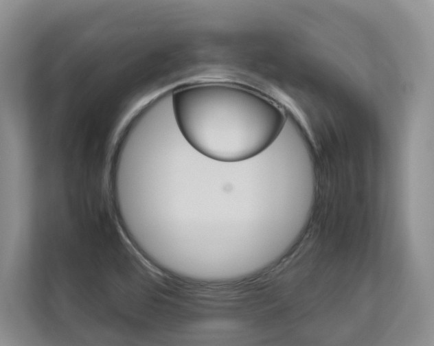 X0000112831464200908210929