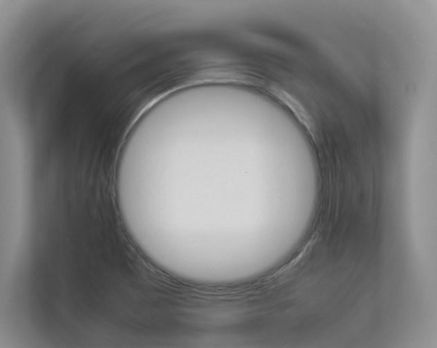 X0000112831465200908210929
