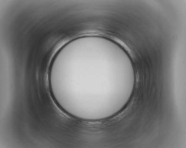 X0000112831466200908210929