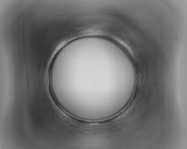 X0000112831467200908210929