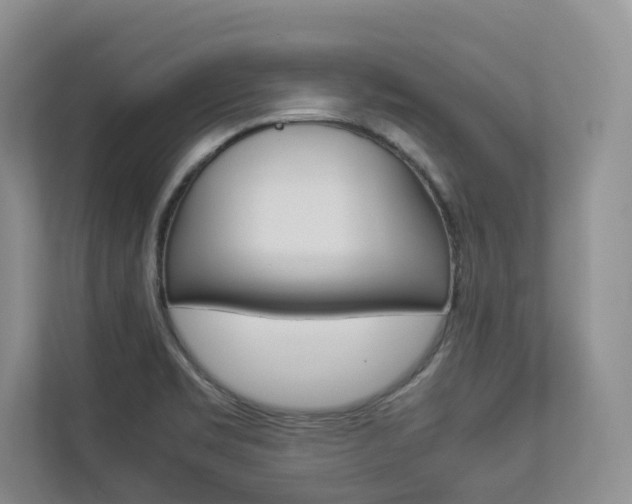 X0000112831469200908210929