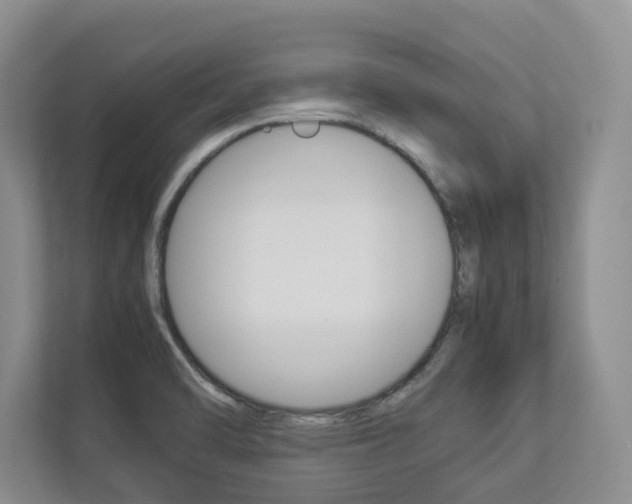 X0000112831470200908210929
