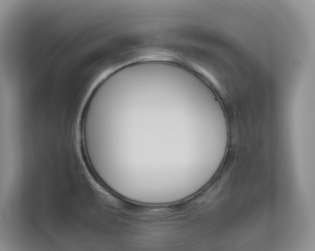 X0000112831471200908210929