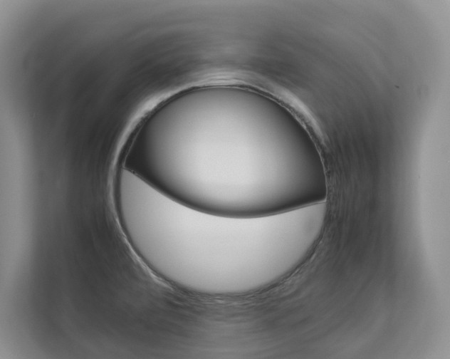 X0000112831472200908210929