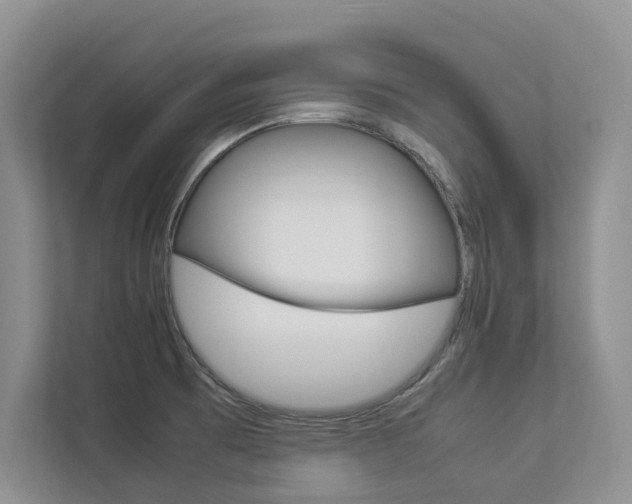X0000112831473200908210929
