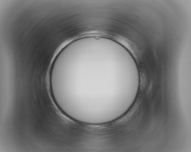 X0000112831474200908210929