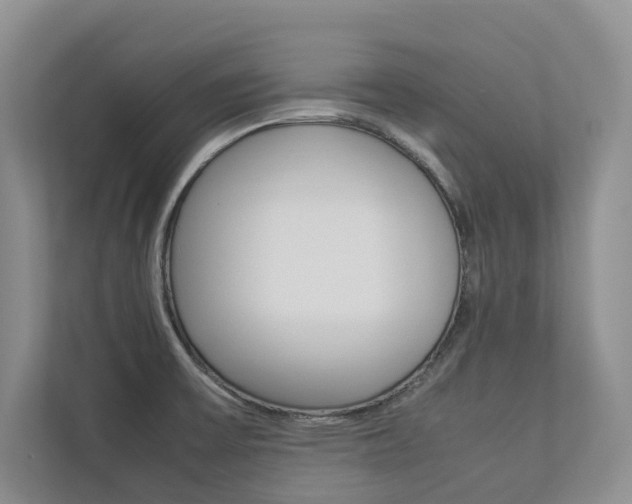 X0000112831475200908210929