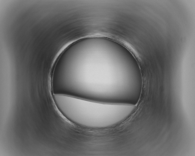X0000112831476200908210929