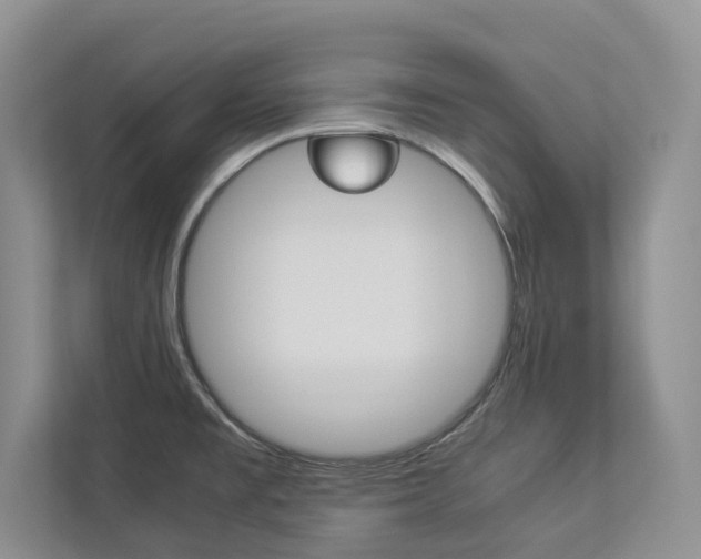 X0000112831477200908210929