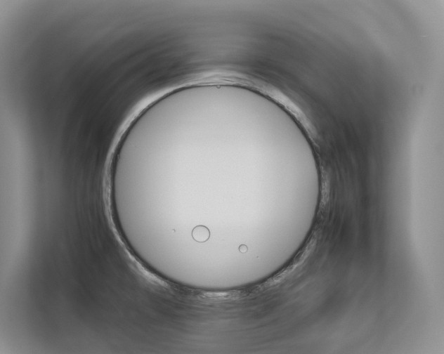 X0000112831478200908210929