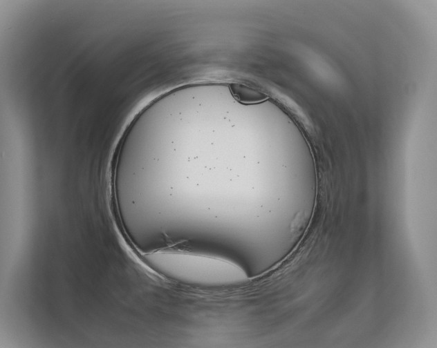X0000112831479200908210929