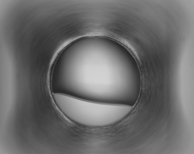 X0000112831480200908210929