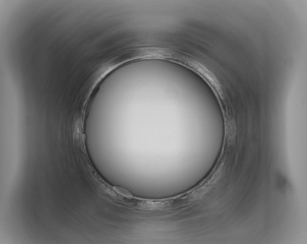 X0000112831481200908210929