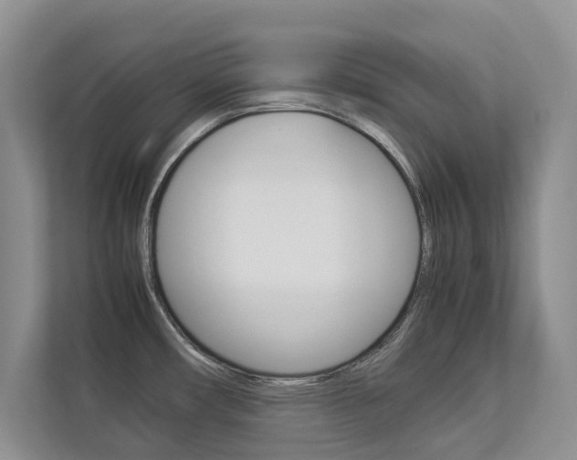 X0000112831482200908210929