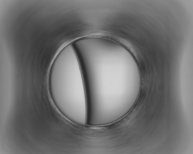 X0000112831483200908210929