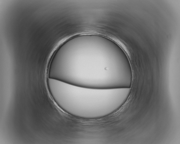 X0000112831485200908210929