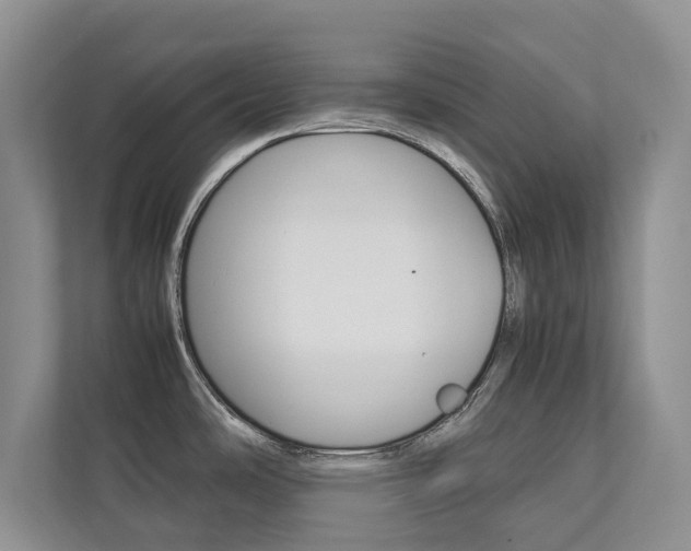 X0000112831486200908210929