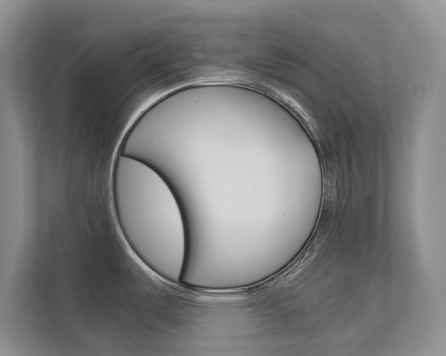 X0000112831487200908210929
