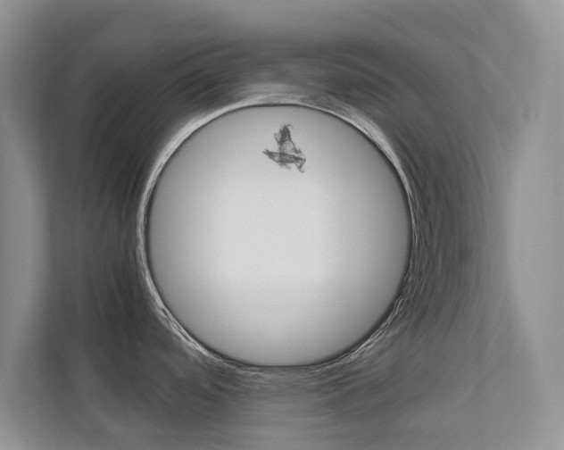 X0000112831488200908210929