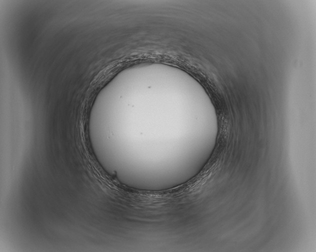 X0000112831489200908210928