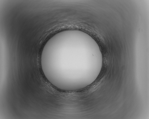X0000112831490200908210928