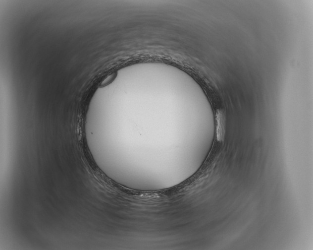 X0000112831491200908210928
