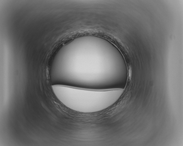 X0000112831492200908210928