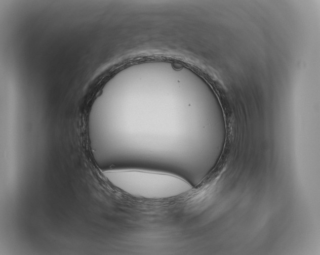 X0000112831494200908210928