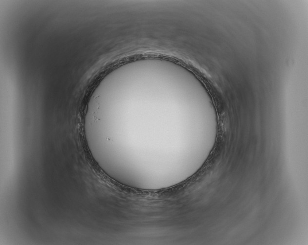X0000112831495200908210928