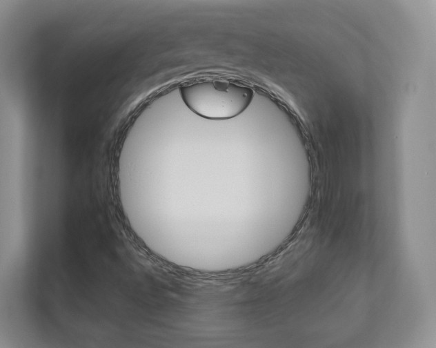 X0000112831496200908210928
