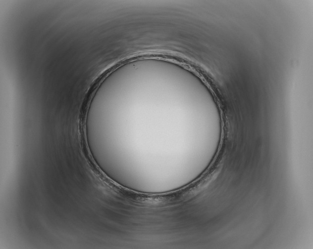 X0000112831497200908210928