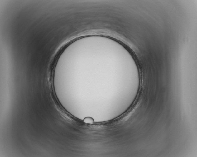 X0000112831498200908210928