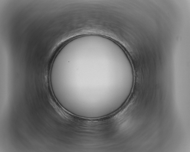 X0000112831499200908210928