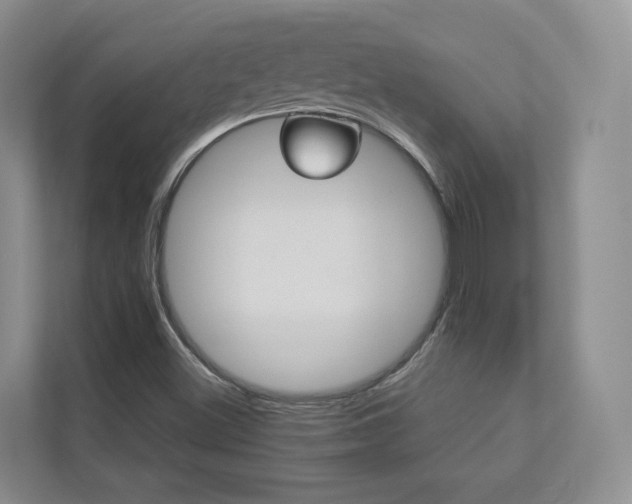 X0000112831500200908210928