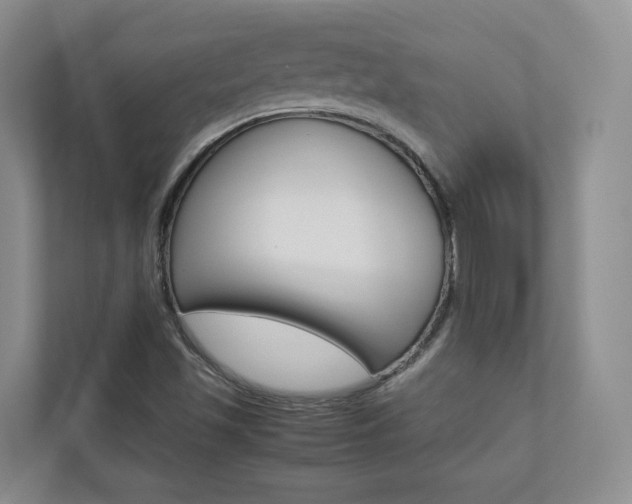 X0000112831501200908210928