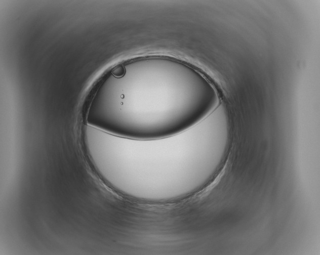 X0000112831502200908210928