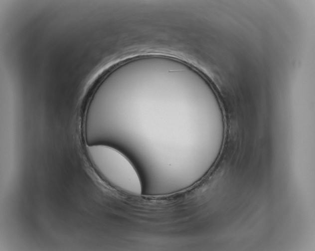 X0000112831503200908210928