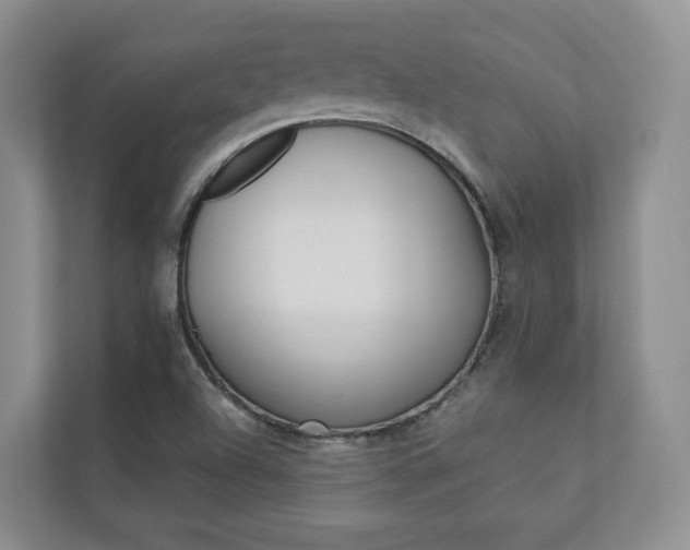 X0000112831504200908210928