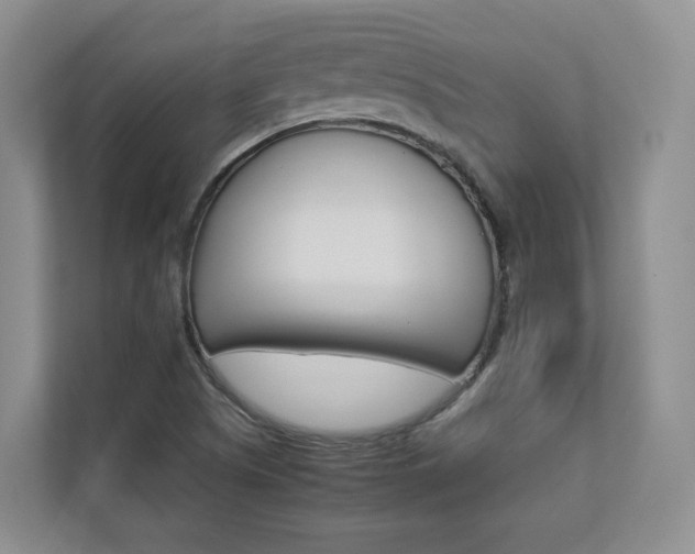 X0000112831505200908210928