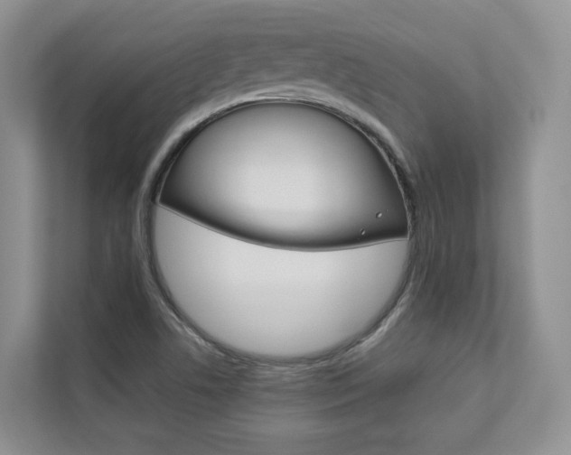 X0000112831506200908210928