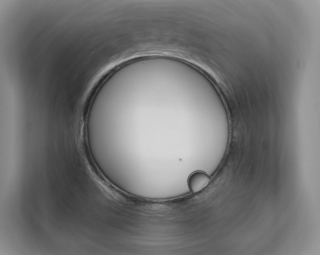 X0000112831507200908210928