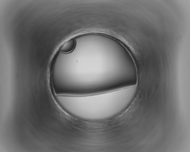 X0000112831508200908210928