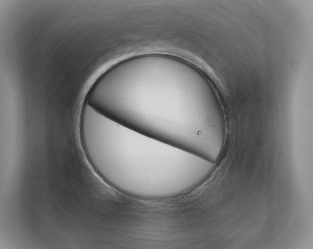 X0000112831512200908210928